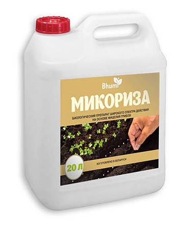 Канистра Микориза